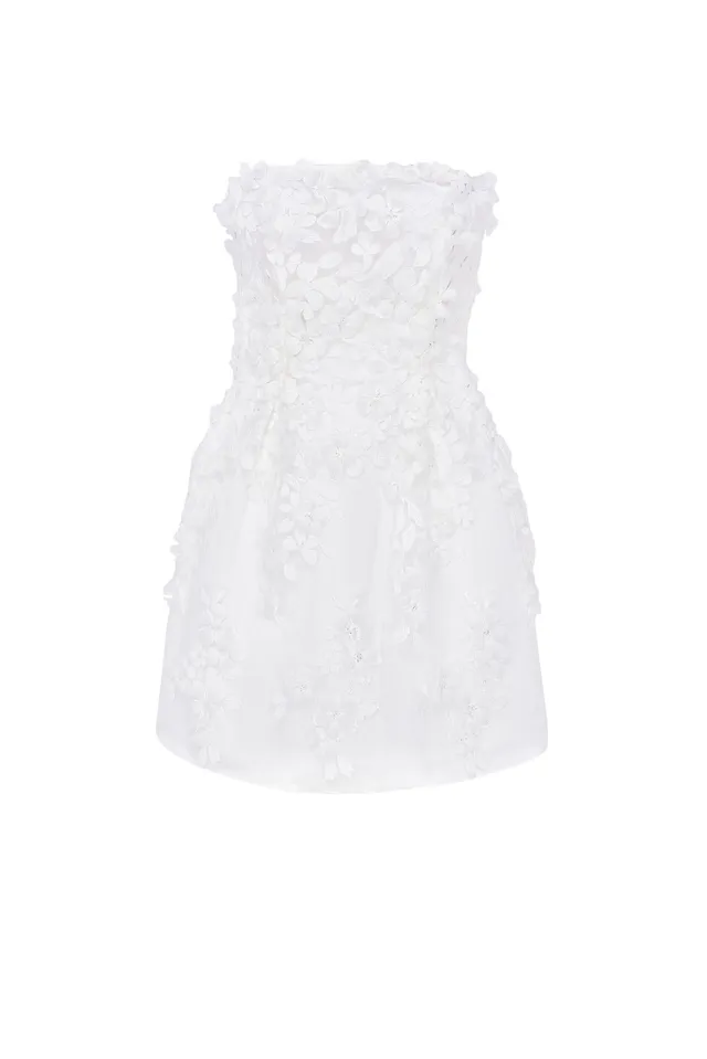 kaviar-gauche-monaco-lace-mini-dress image 1