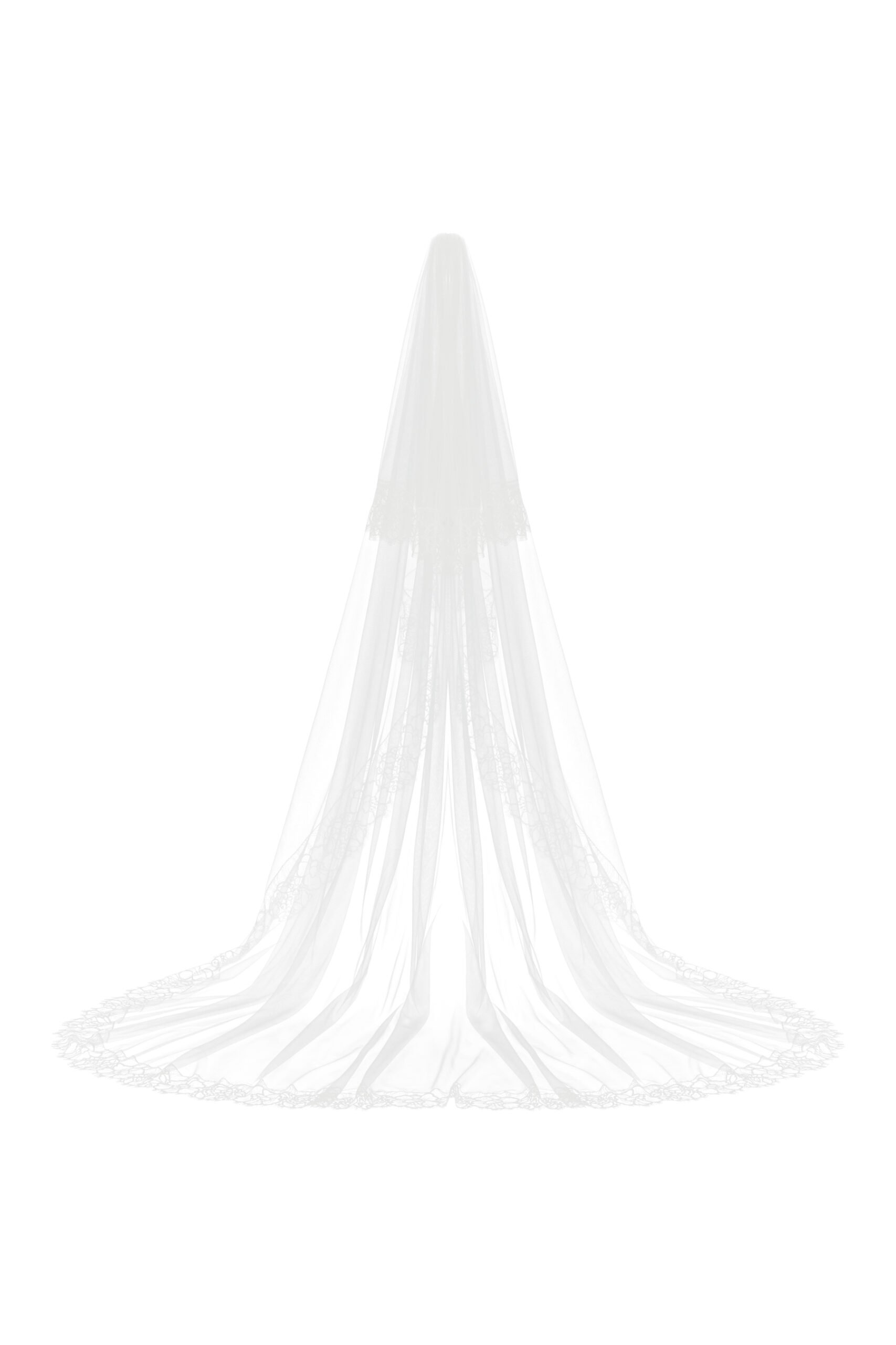 kaviar-gauche-rose-garden-veil-brautschleier-spitze image 1